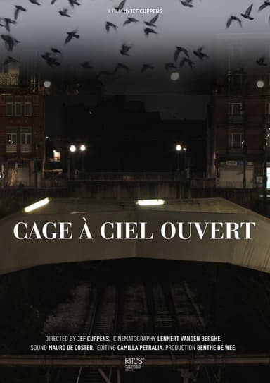 Cage À Ciel Ouvert
