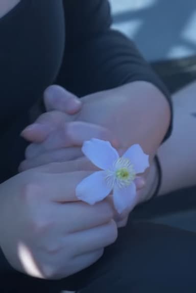 Pushing Daisies