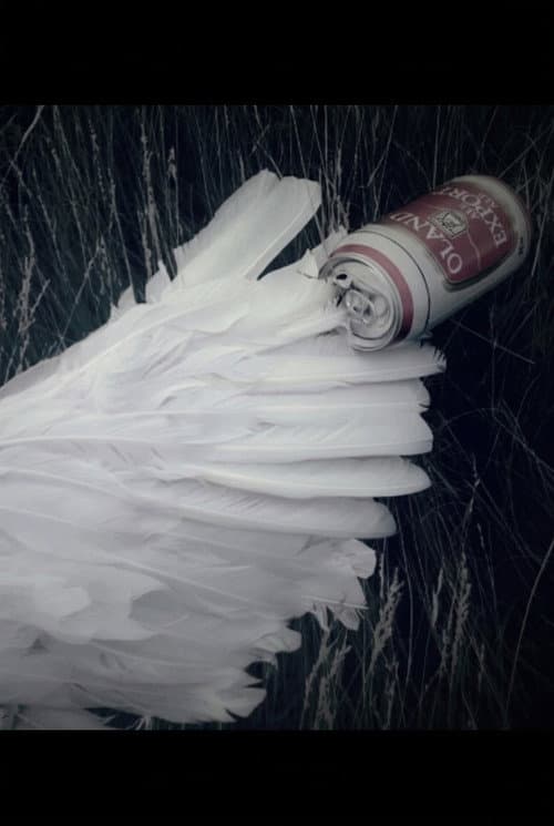 Broken Wings