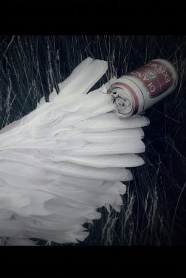 Broken Wings