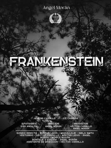 Frankenstein The Creature