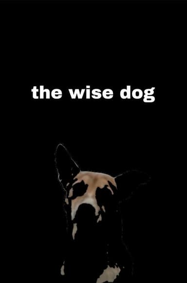 the wise dog