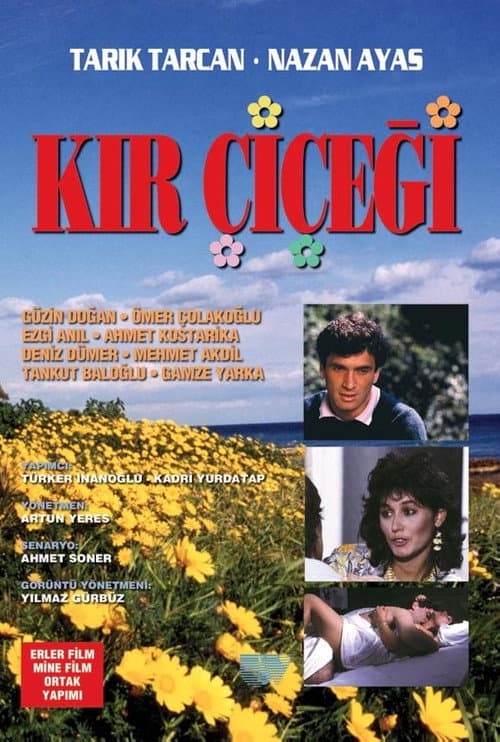 Kır Çiçeği