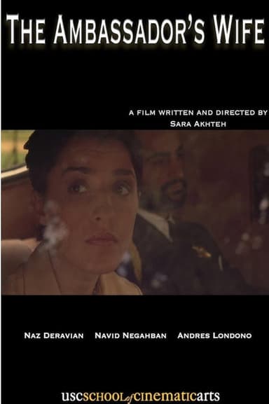The Ambassador's Wife