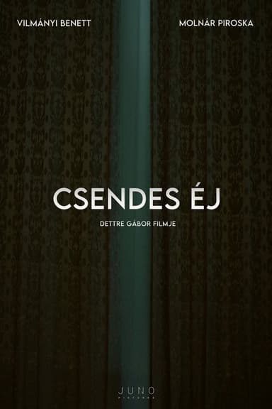 Csendes éj