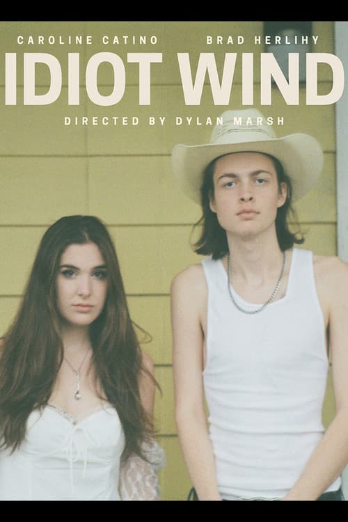 Idiot Wind