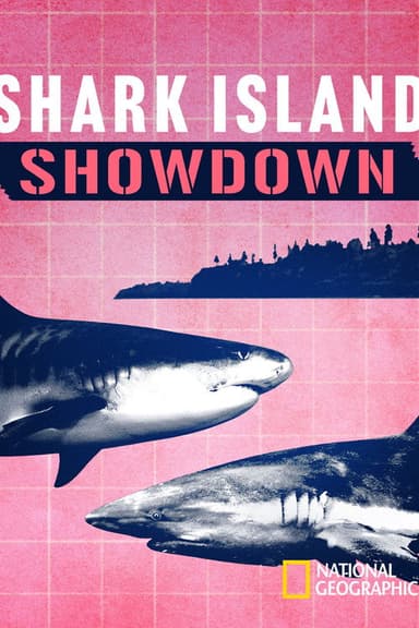 Shark Island Showdown