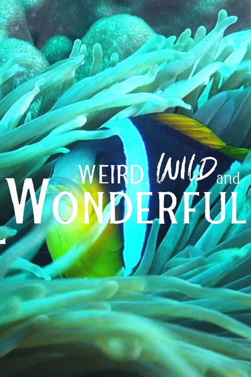 Weird, Wild, and Wonderful