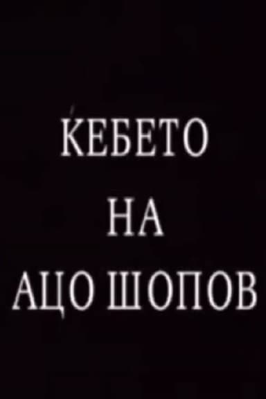The Blanket of Aco Shopov