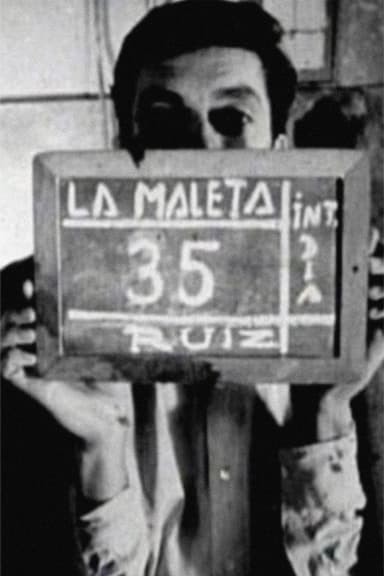 The Suitcase