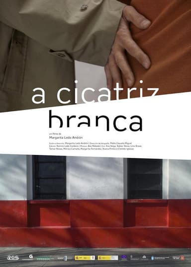 Apuntamentos para un filme