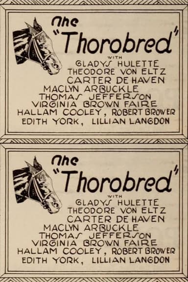 The Thoroughbred