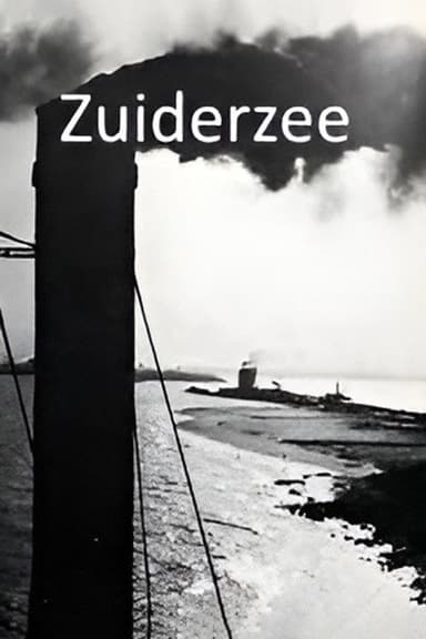 Zuiderzeewerken
