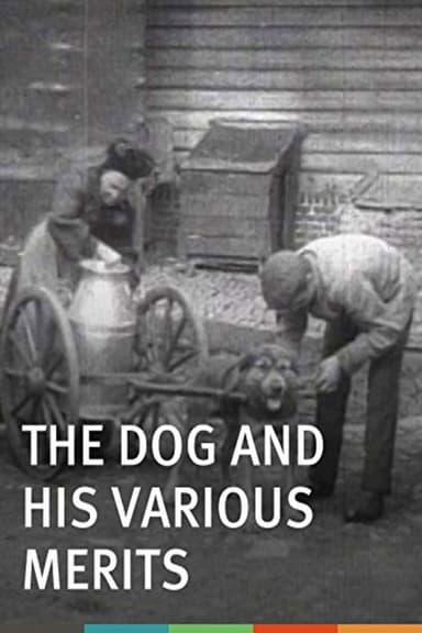 The Dog and His Various Merits