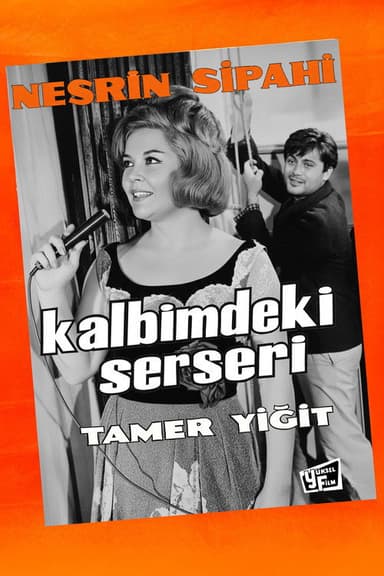 Kalbimdeki Serseri
