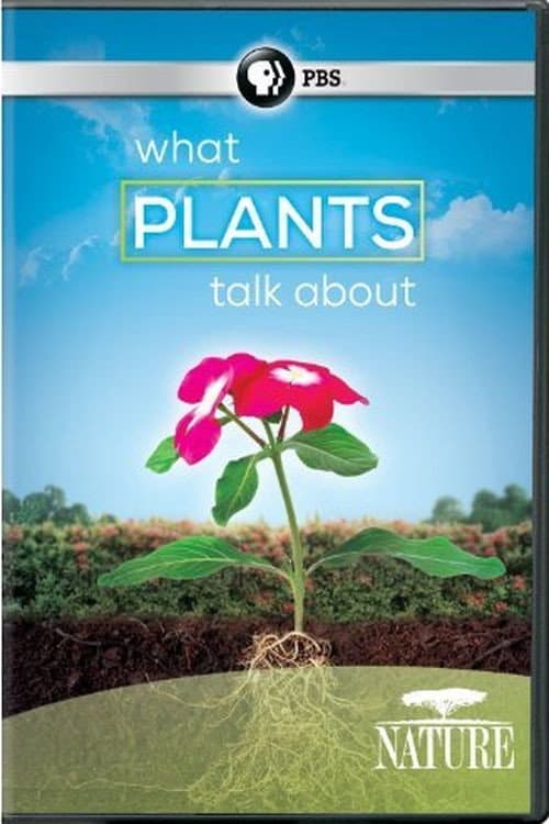What Plants Talk About