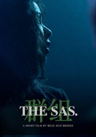 The SAS