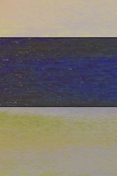 MONET VARIATION 1