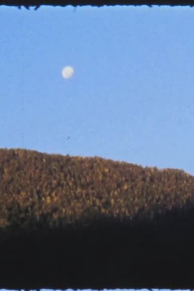 El Manso