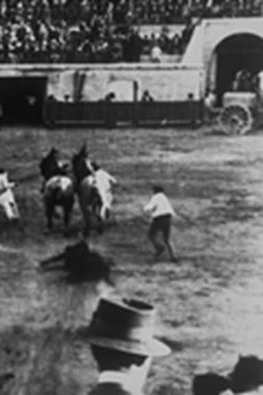 Enlèvement du taureau