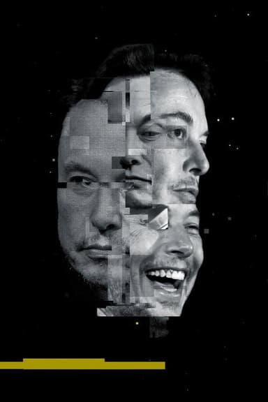 Die Elon-Musk-Story