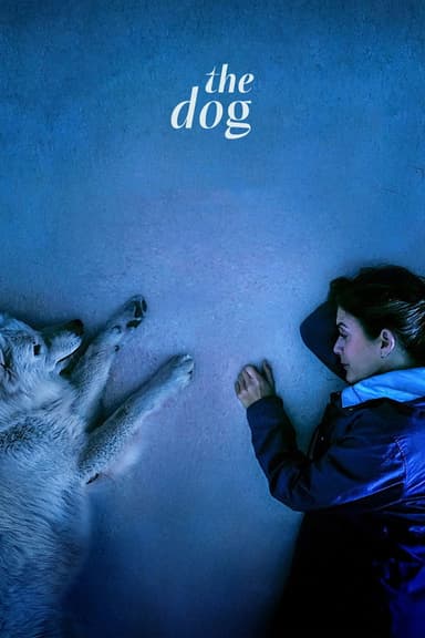 The Dog