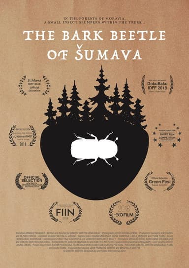 The Bark Beetle of Šumava