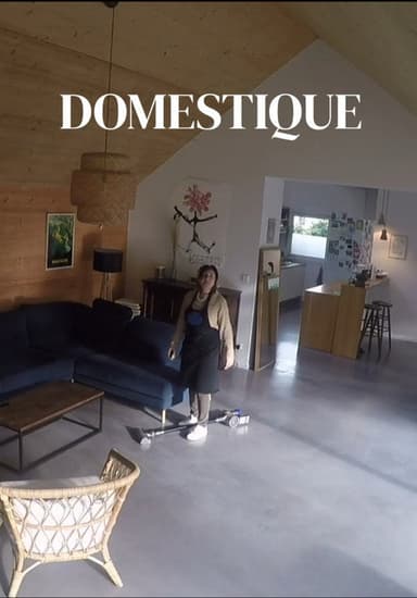 Domestique