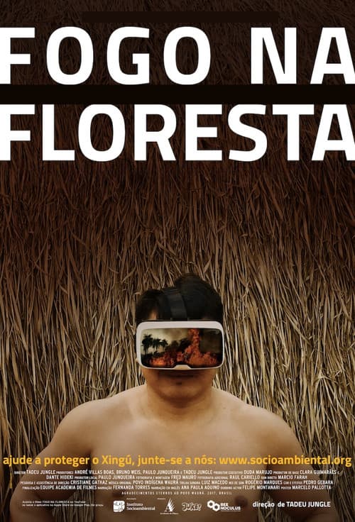 Fire in the Forest