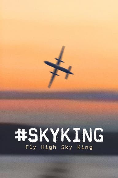 #SKYKING