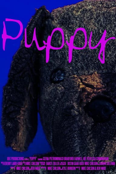 Puppy