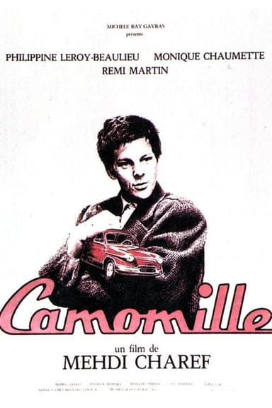 Camomille