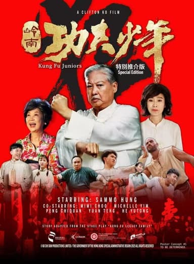 Kung Fu Juniors