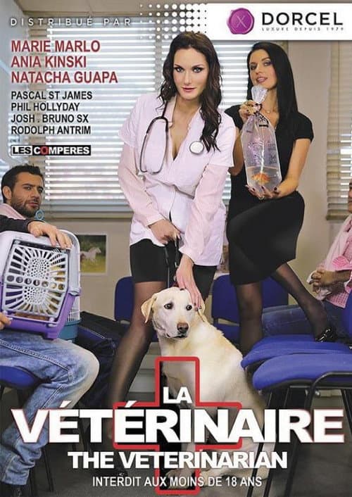 The Veterinarian