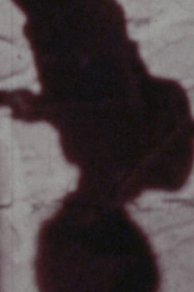 Señales de vida