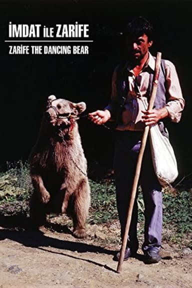 Zarifa The Dancing Bear
