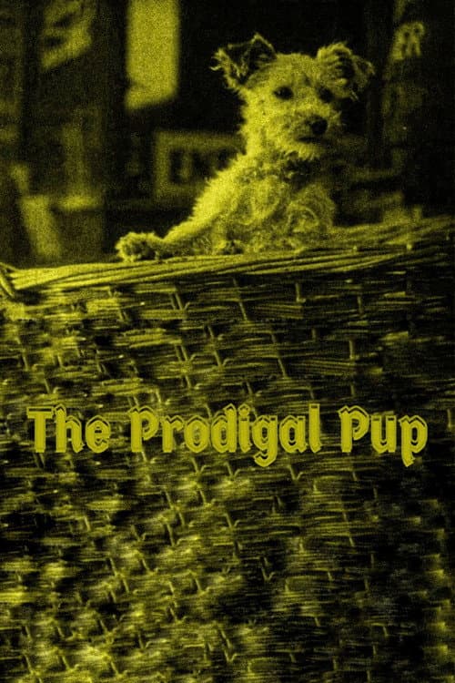 The Prodigal Pup