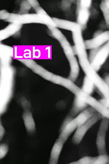 Lab 1