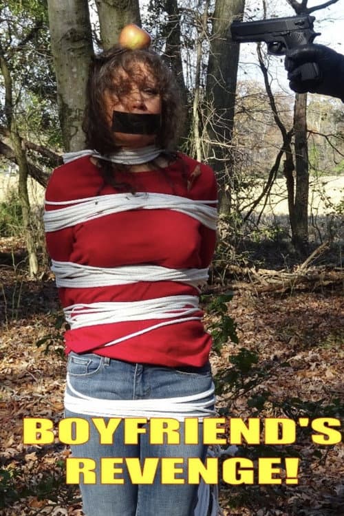 Boyfriend's Revenge