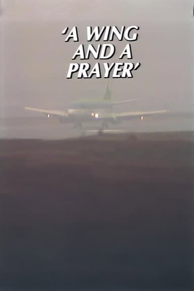 A Wing and a Prayer – The Story of Knock Airport