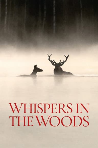 Whispers in the Woods