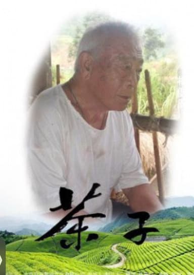 茶子