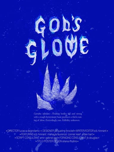 God's Glove