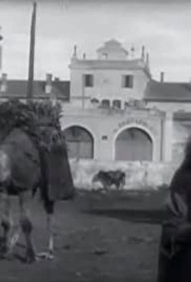 Coal Market (with Camels)