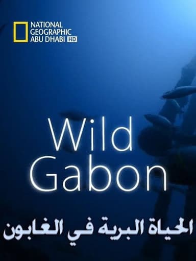 Wild Gabon