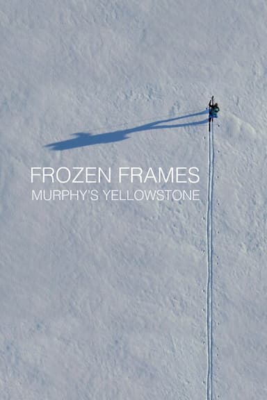 Frozen Frames: Murphy's Yellowstone