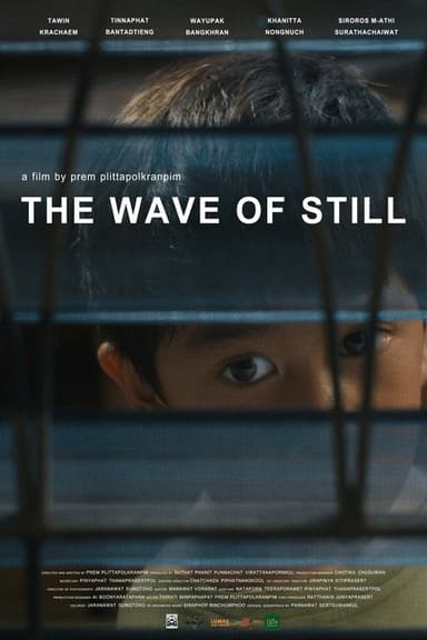 The Wave of Still