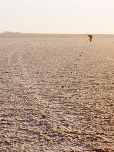 Of Seeing in Salt. Or: Ten Strategies to Face the Own Finitude in an Infinity