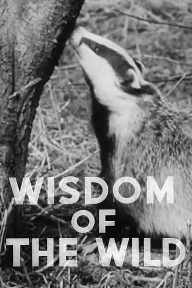 Wisdom of the Wild