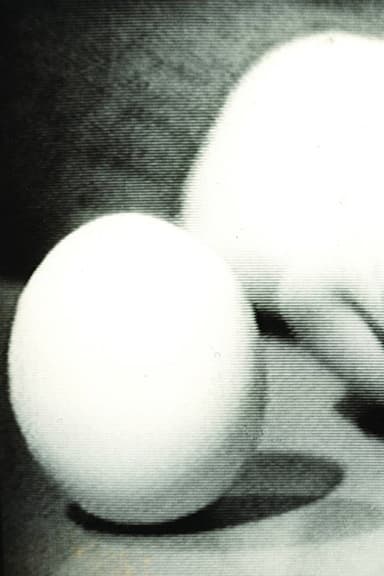 Statics of an Egg